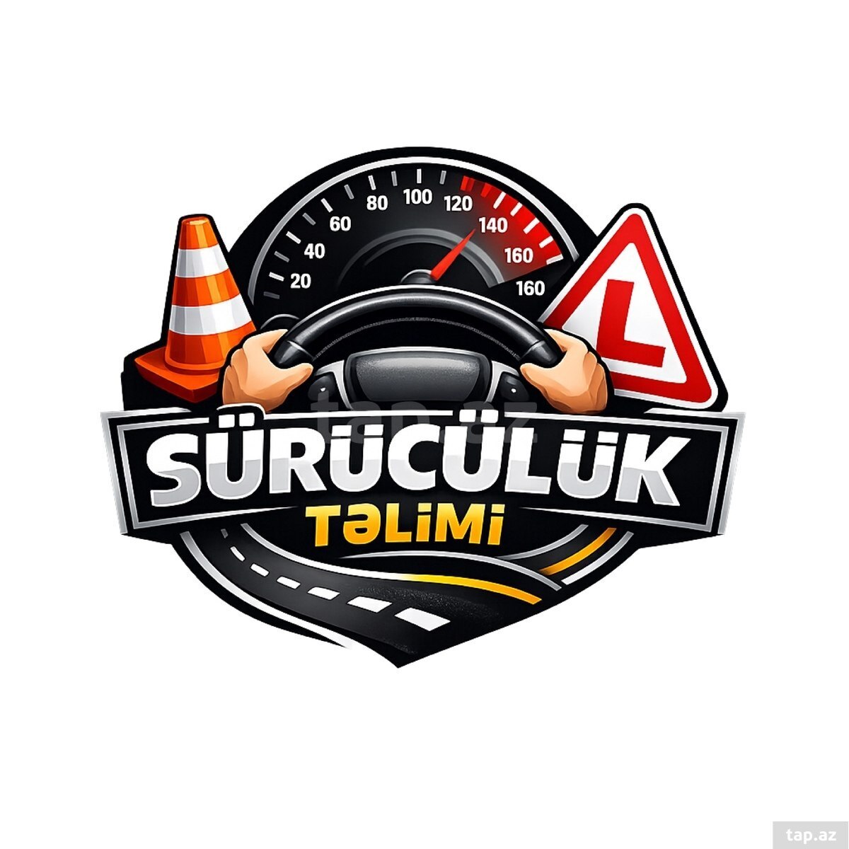 Sürücülük təlimi
