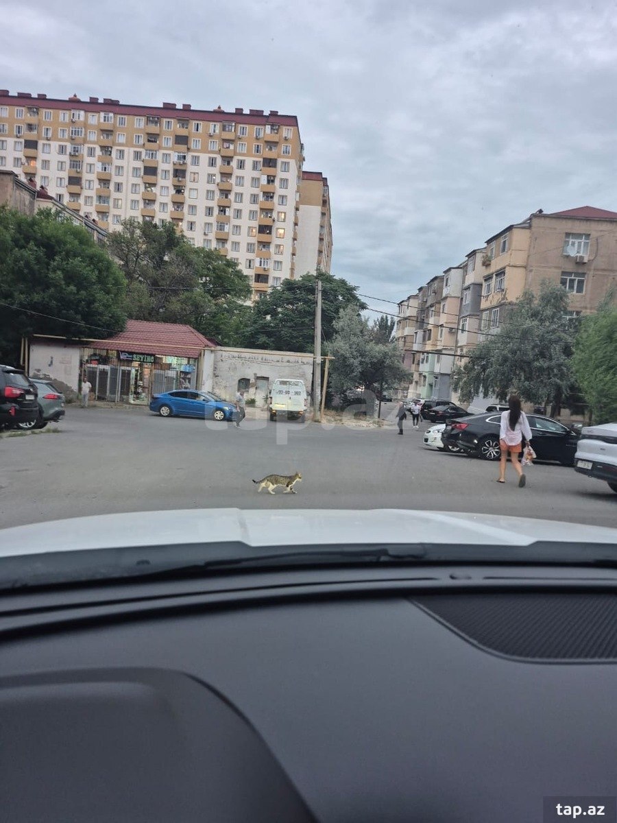 3-otaqlı yeni tikili, Sumqayıt ş., 100 m²