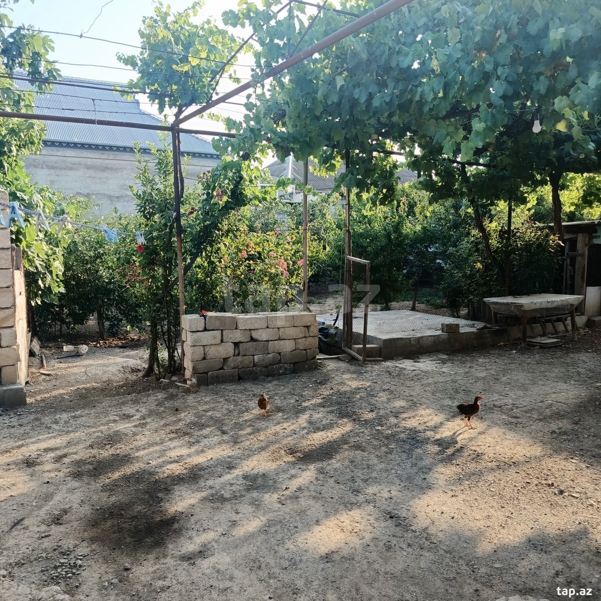3-otaqlı yeni tikili, Şirvan ş., 90 m² (5)