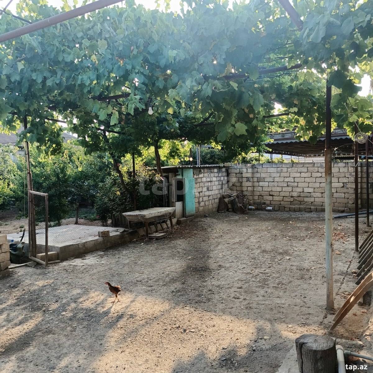 3-otaqlı yeni tikili, Şirvan ş., 90 m² (9)
