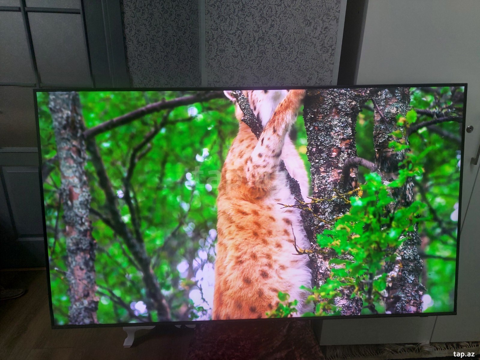 Samsunq Qled 139SM televizoru (6)