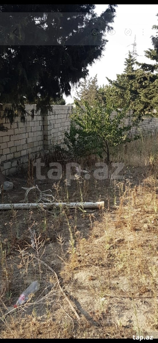 9 sot torpaq sahəsi, Avtovağzal m. (12)