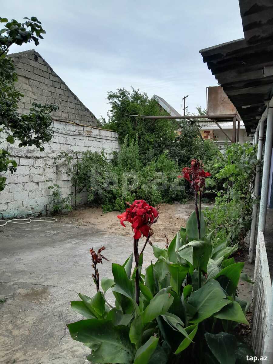 Həyət evi, Maştağa qəs. (2)