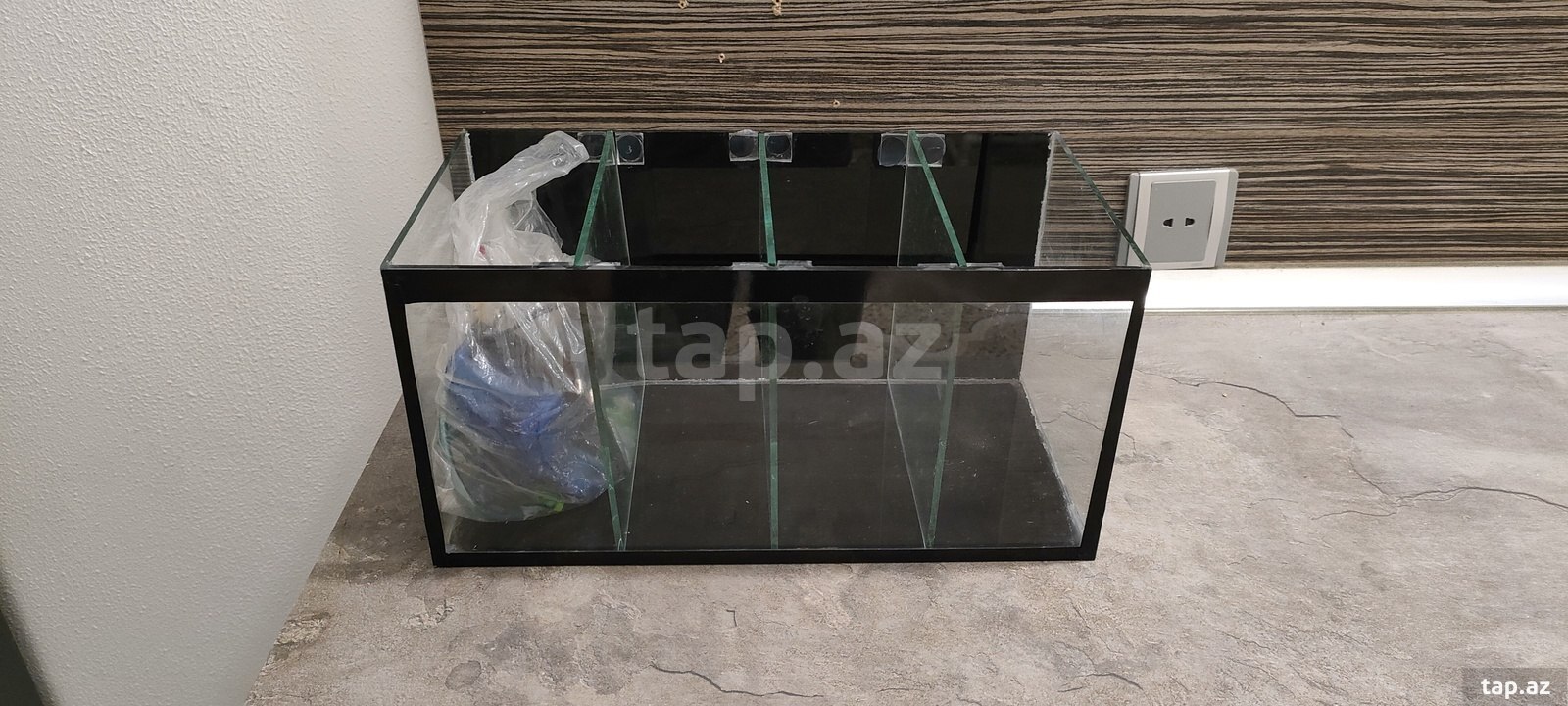 Betta balığı akvariumu