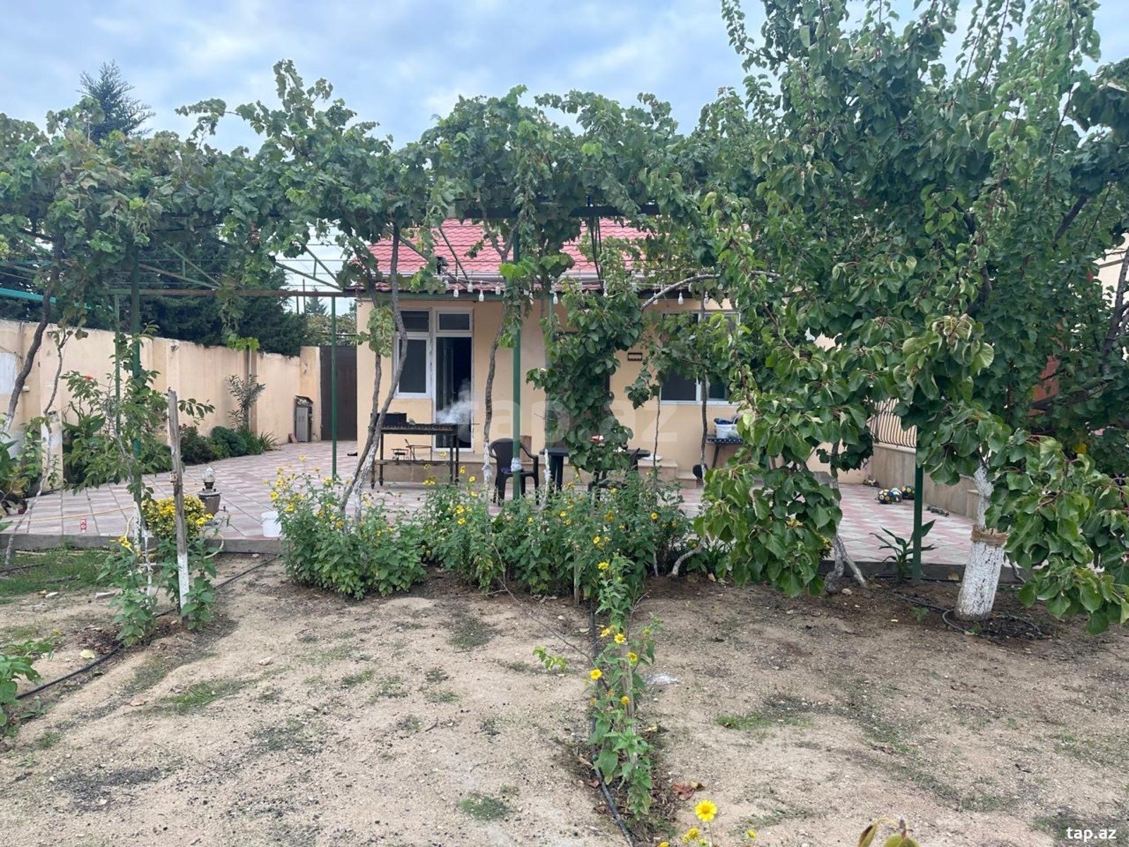 Bağ evi, Buzovna qəs. (15)
