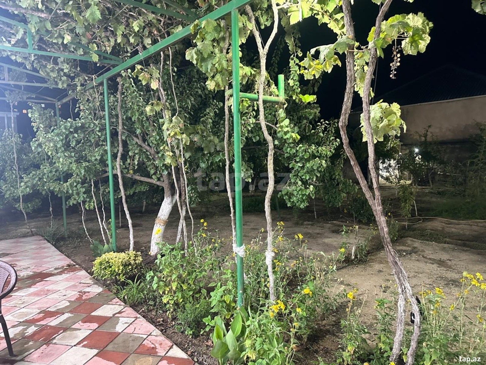 Bağ evi, Buzovna qəs. (7)