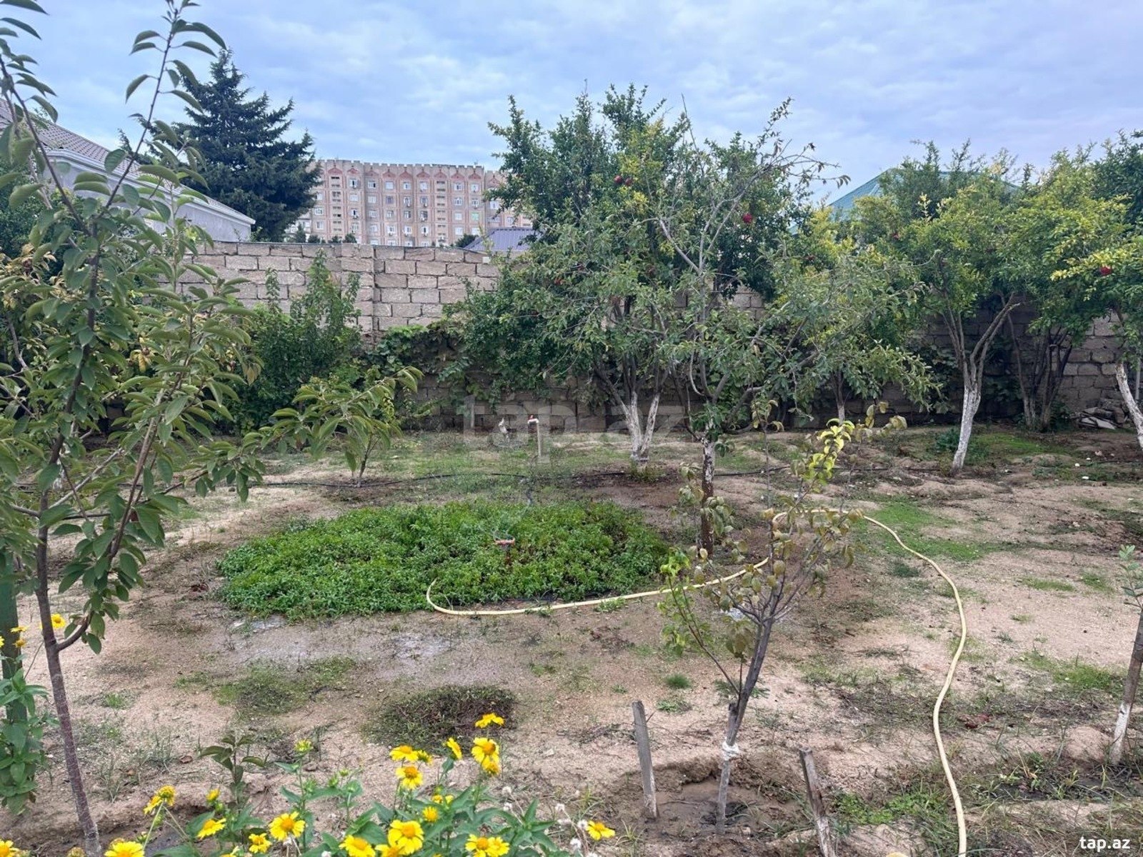 Bağ evi, Buzovna qəs. (14)