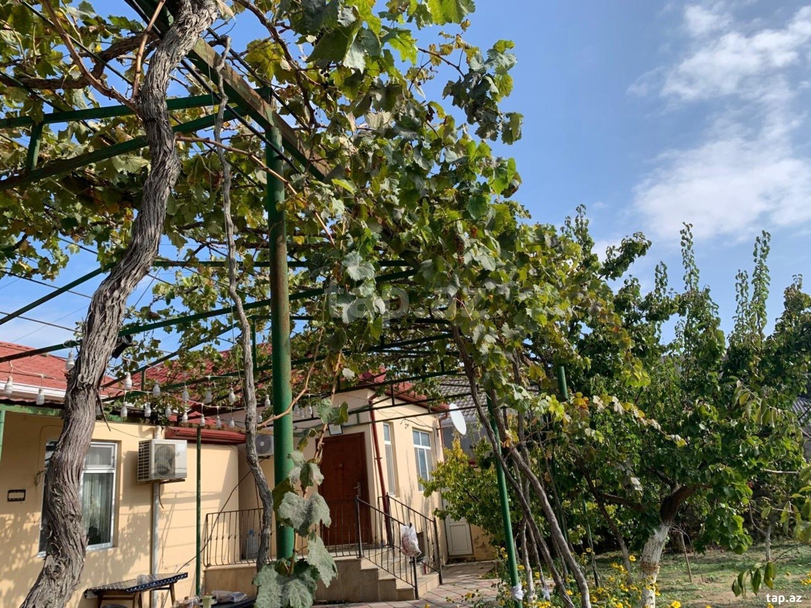Bağ evi, Buzovna qəs. (31)