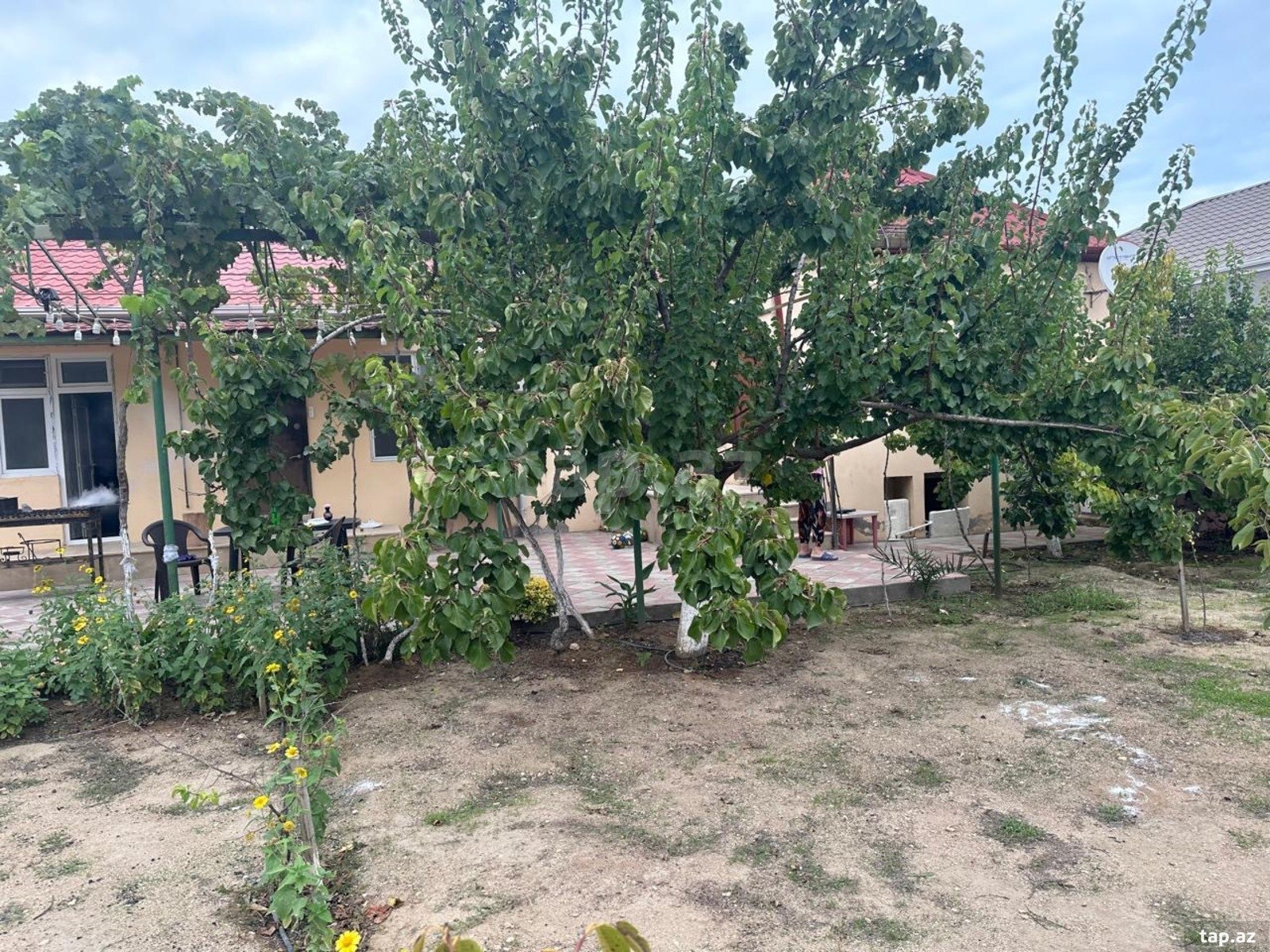 Bağ evi, Buzovna qəs. (16)