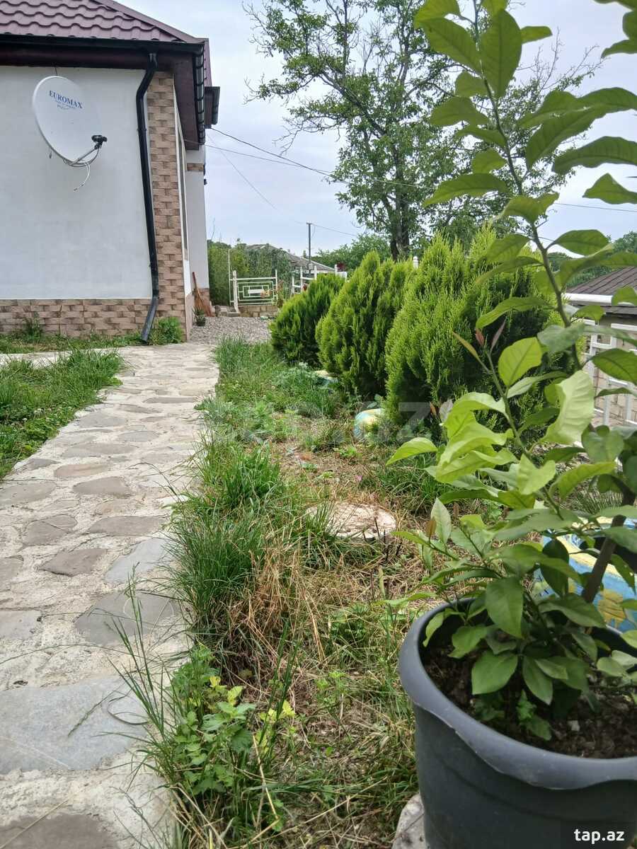 Bağ evi kirayə verilir, Şuduq kəndi (18)