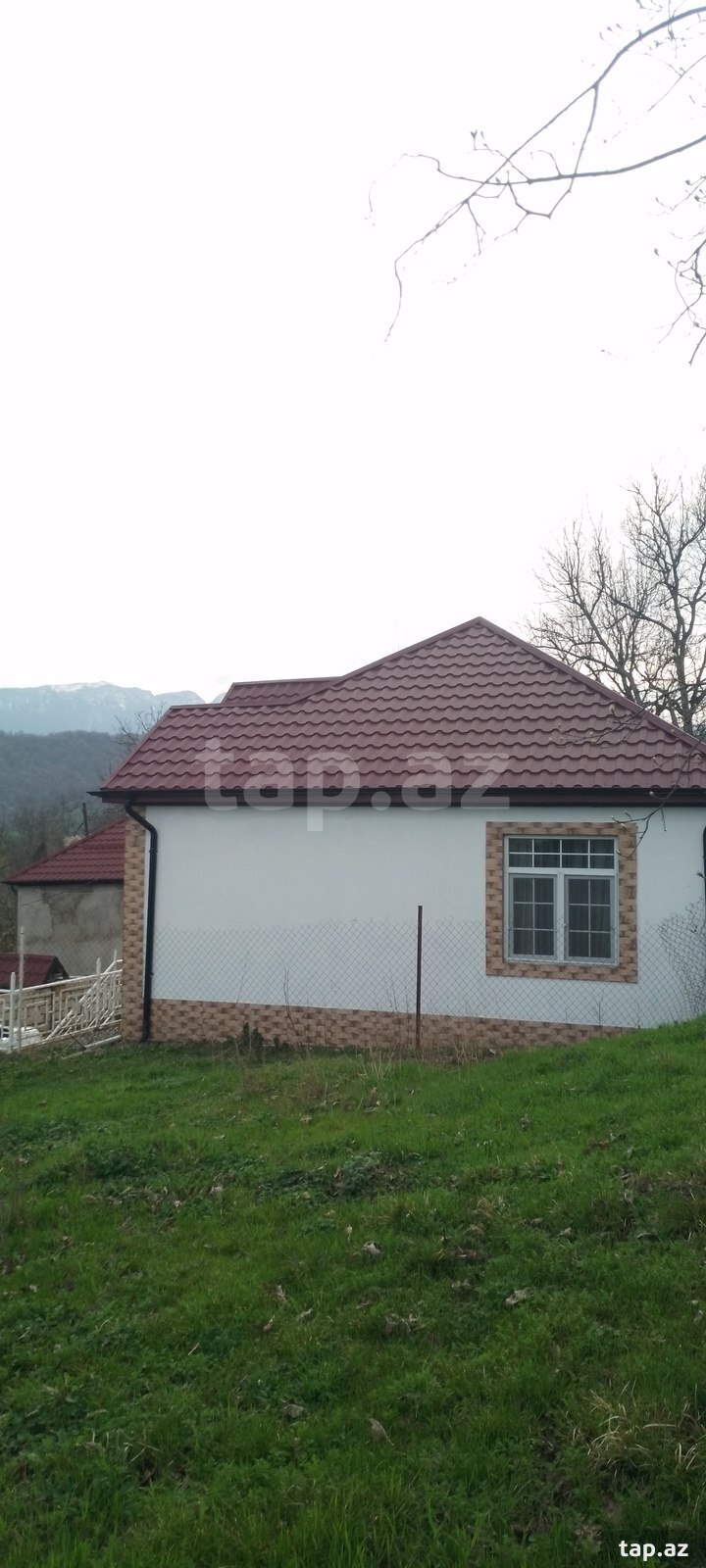 Bağ evi kirayə verilir, Şuduq kəndi (12)