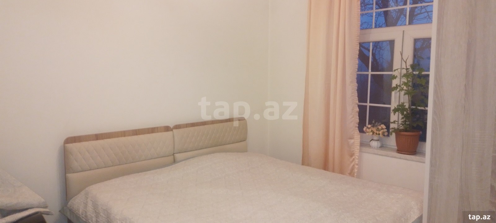 Bağ evi kirayə verilir, Şuduq kəndi (29)