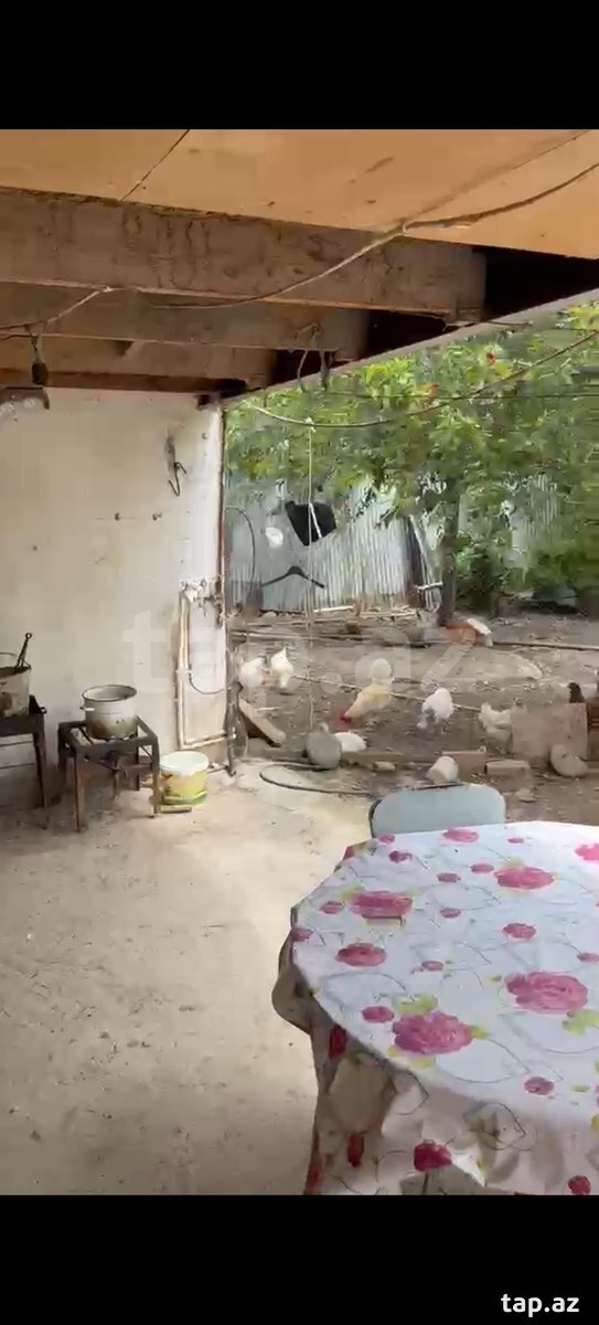 Həyət evi, Gəncə ş. (34)