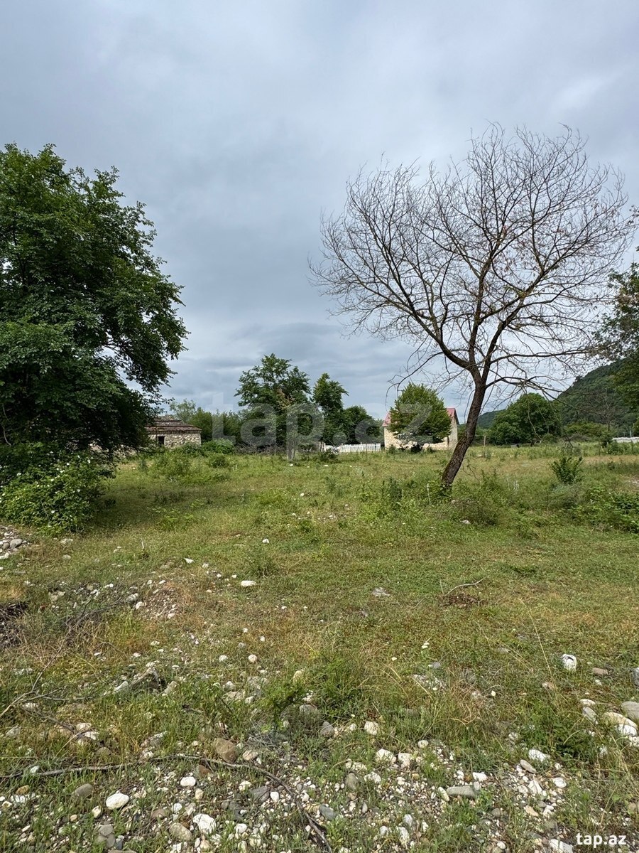 36 sot torpaq sahəsi, Qayakənd kəndi (12)