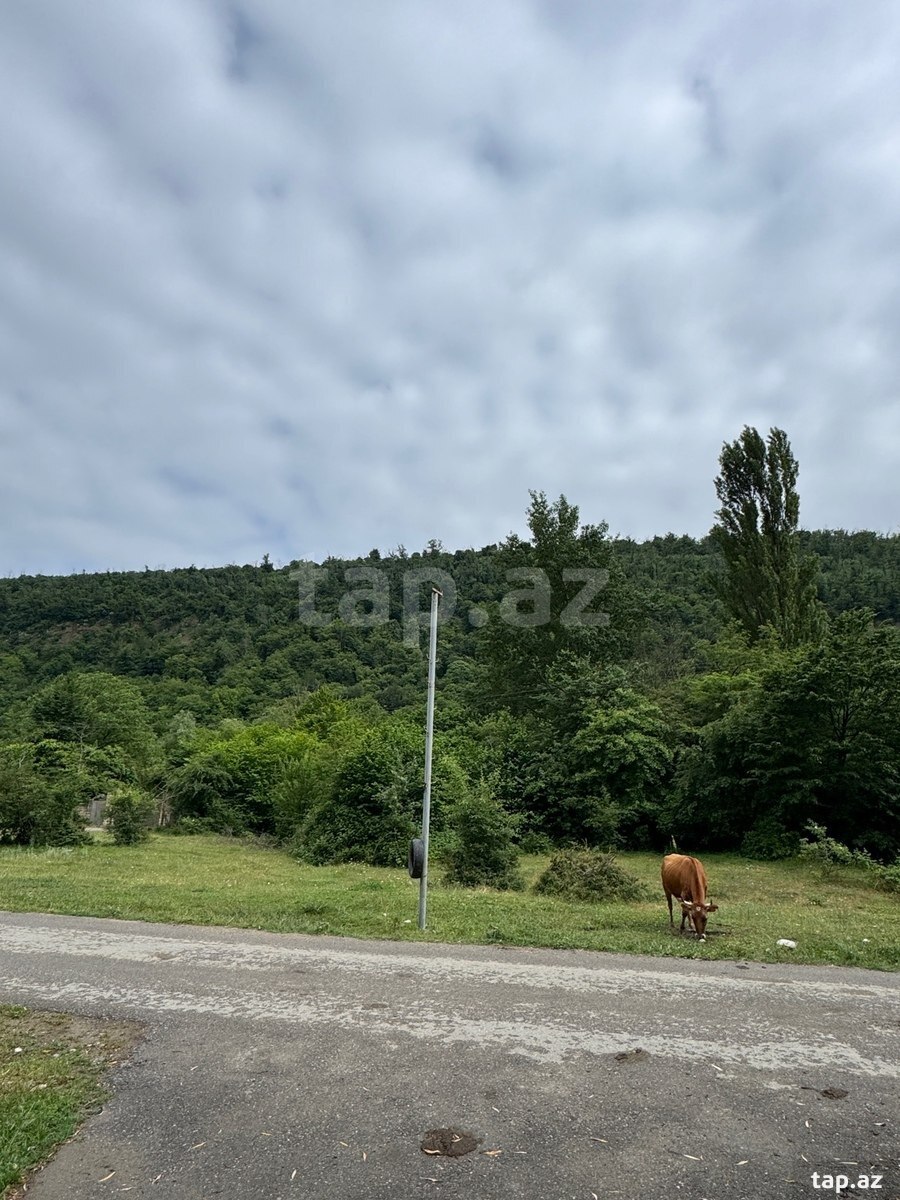 36 sot torpaq sahəsi, Qayakənd kəndi (15)
