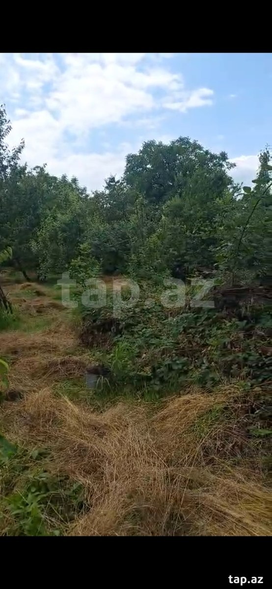 15 sot torpaq sahəsi, Quba r.