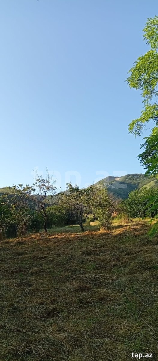 27 sot torpaq sahəsi, Xızı r. (12)
