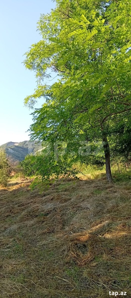 27 sot torpaq sahəsi, Xızı r. (11)