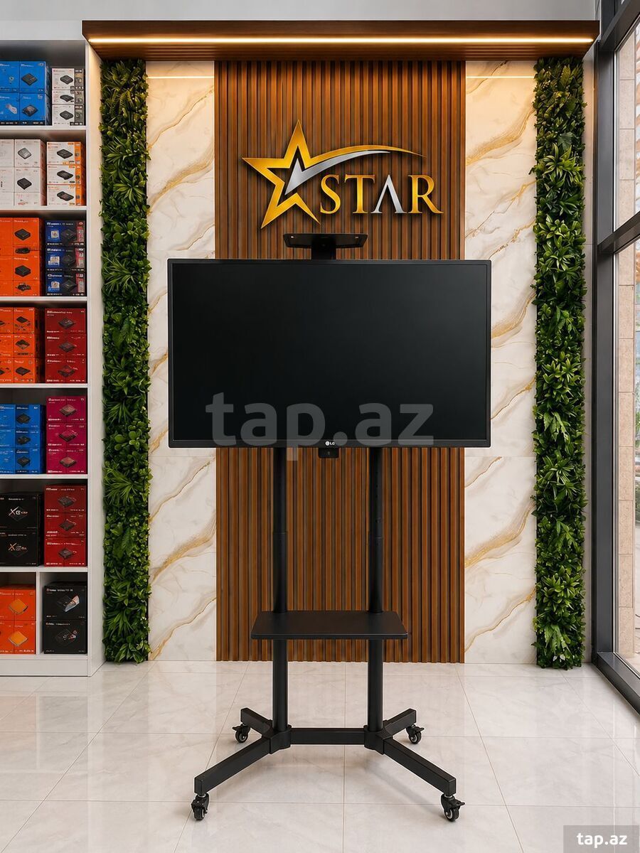 M15 Təkərli TV stend kronşteyn