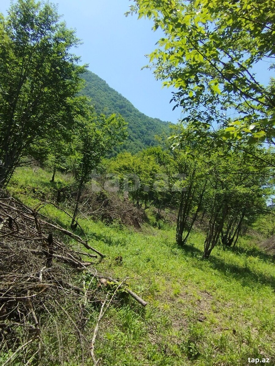 100 sot torpaq sahəsi, Quba r.