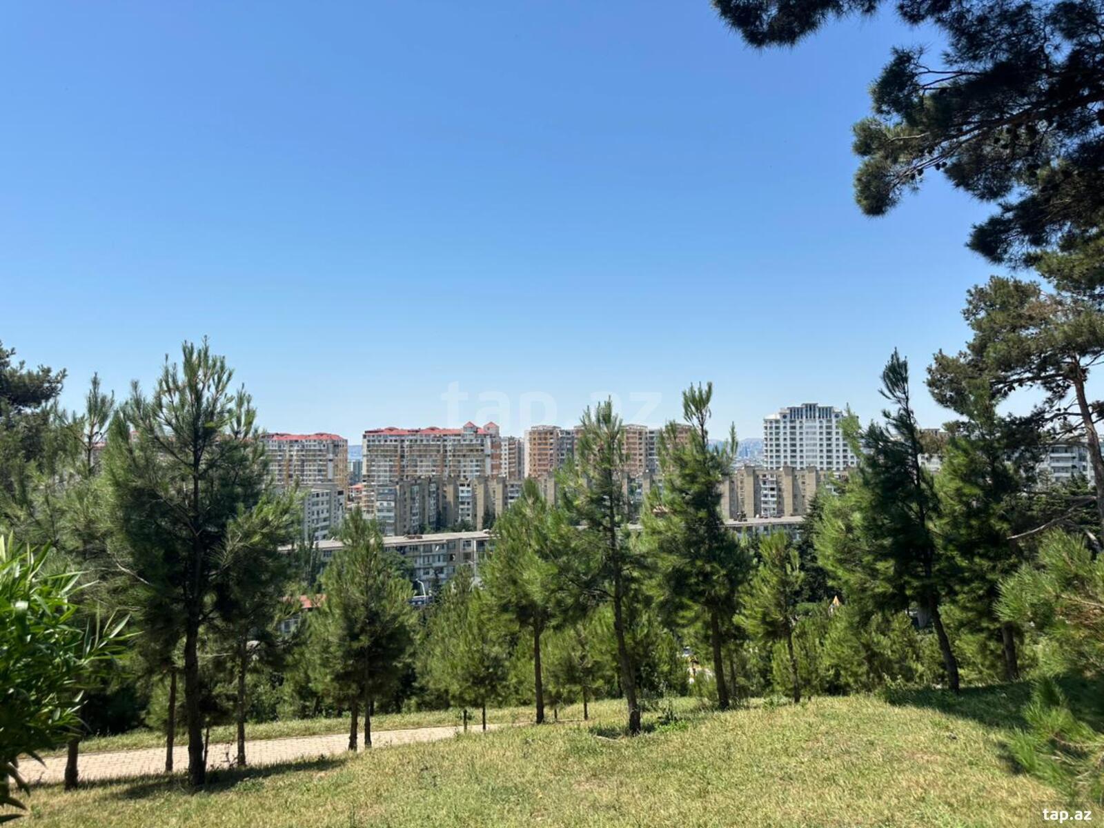 3-otaqlı mənzil, Həzi Aslanov m/s, 80 m² (13)