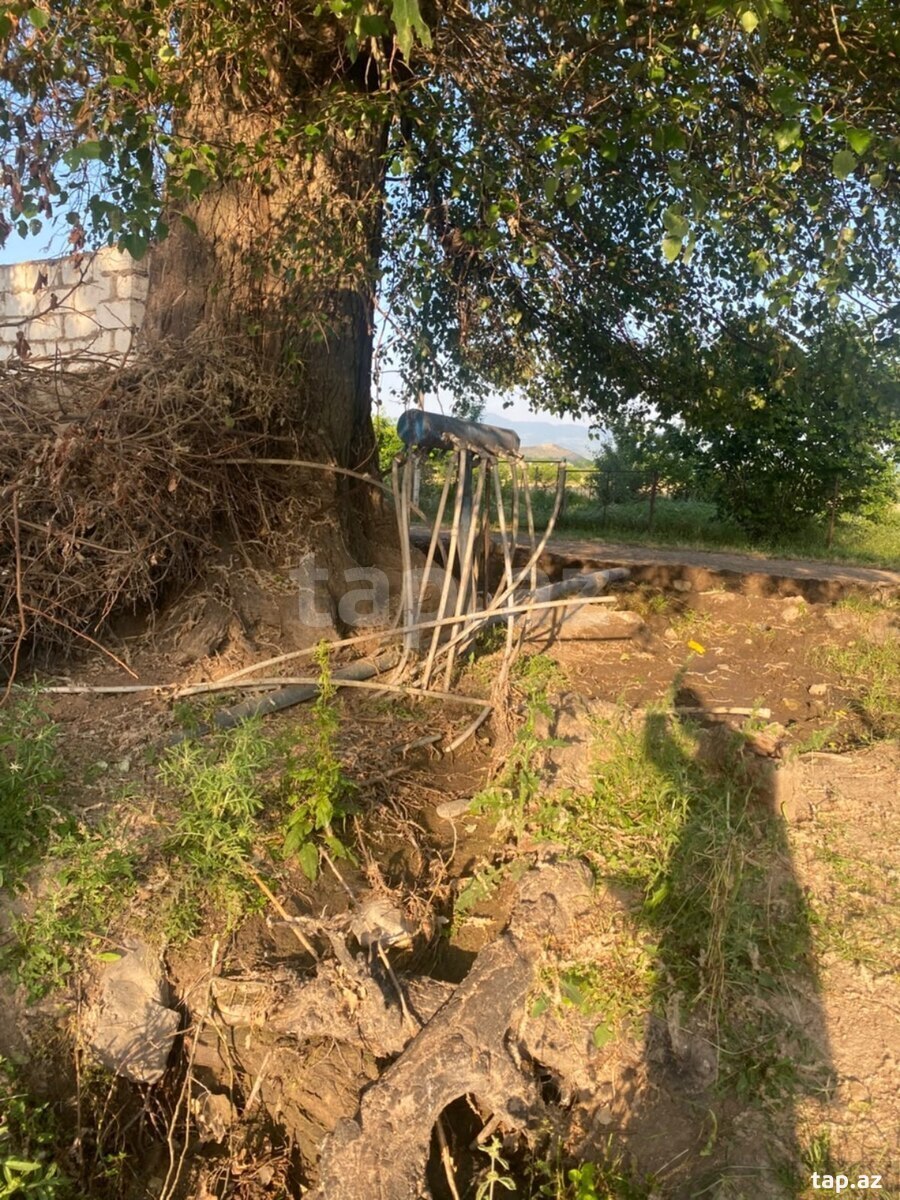18 sot torpaq sahəsi, Qazax ş. (18)