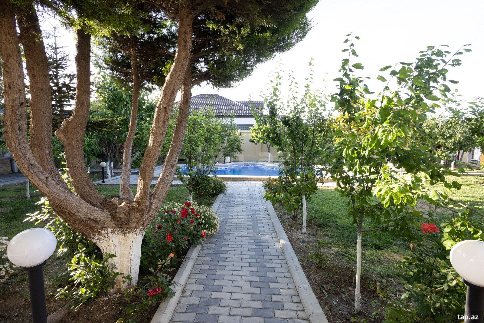 Bağ evi kirayə verilir, Novxanı qəs. (23)