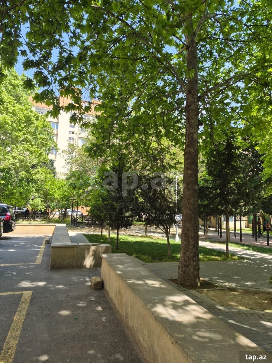 2-otaqlı mənzil kirayə verilir, 8-ci mkr., 65 m² (13)