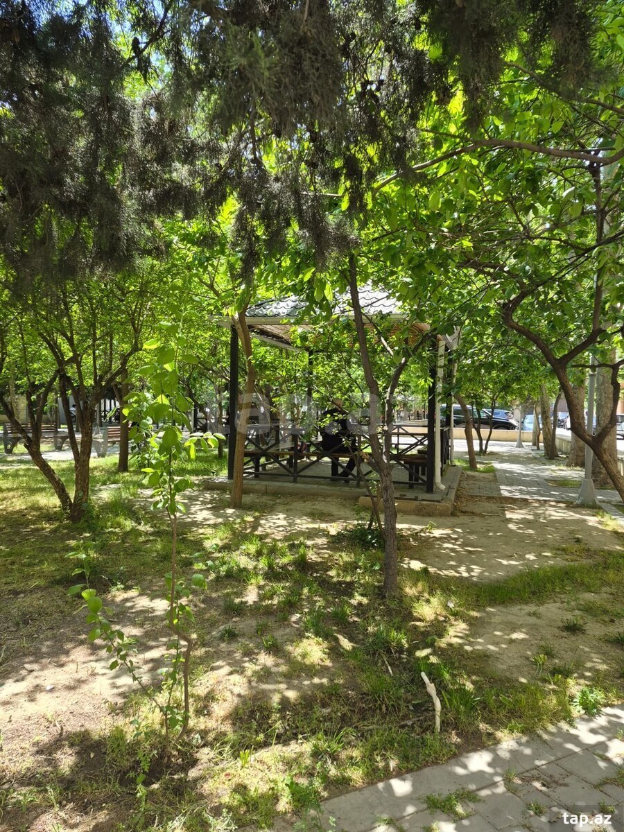 2-otaqlı mənzil kirayə verilir, 8-ci mkr., 65 m² (11)