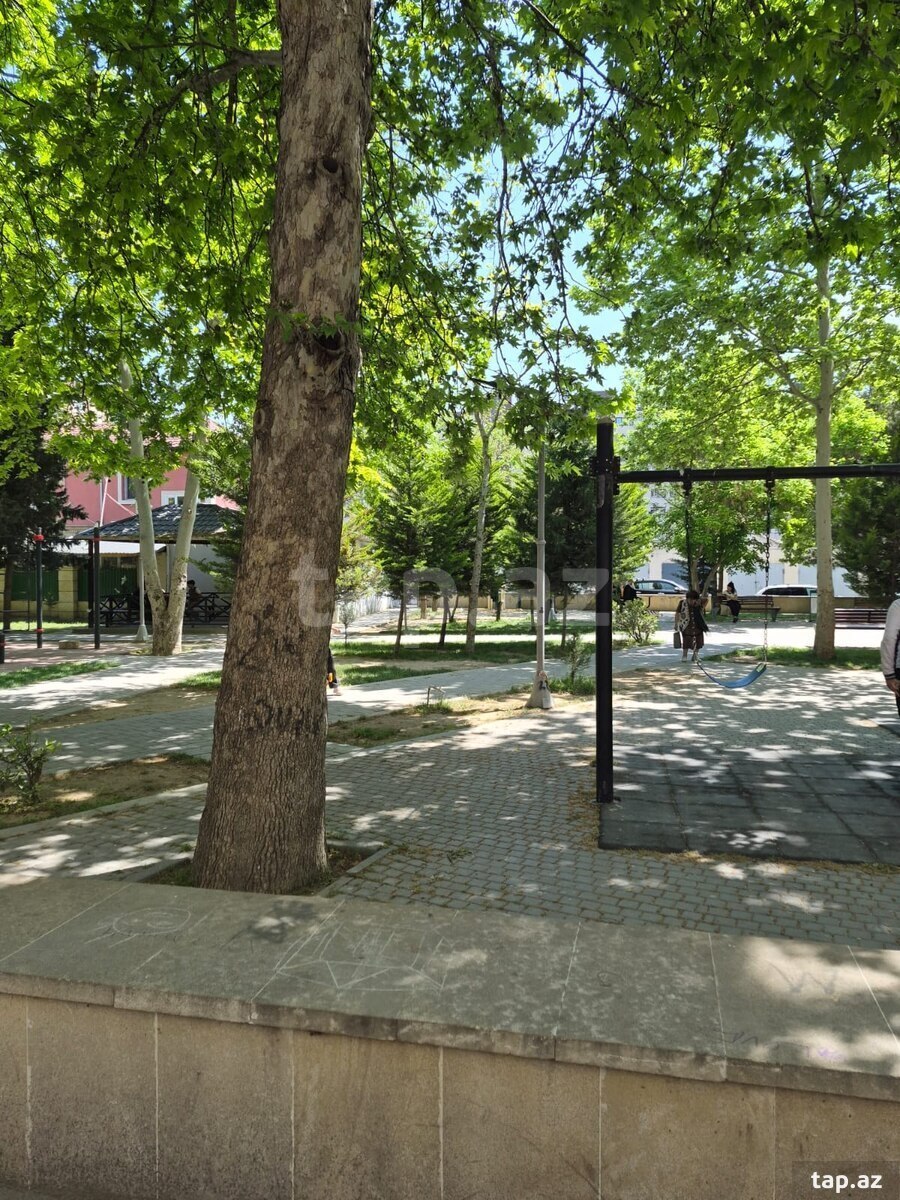 2-otaqlı mənzil kirayə verilir, 8-ci mkr., 65 m² (14)
