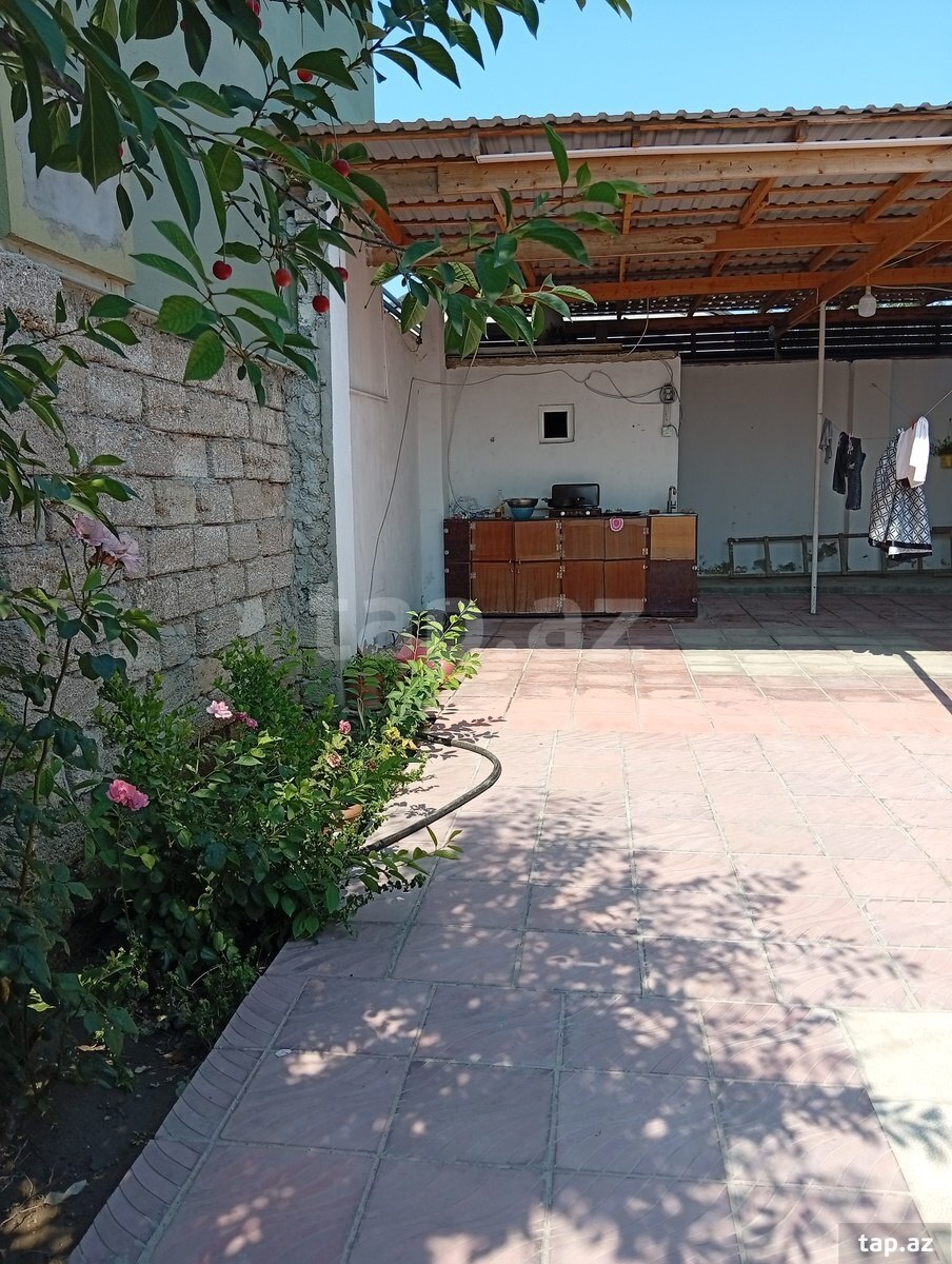 Həyət evi, Albalılıq qəs.