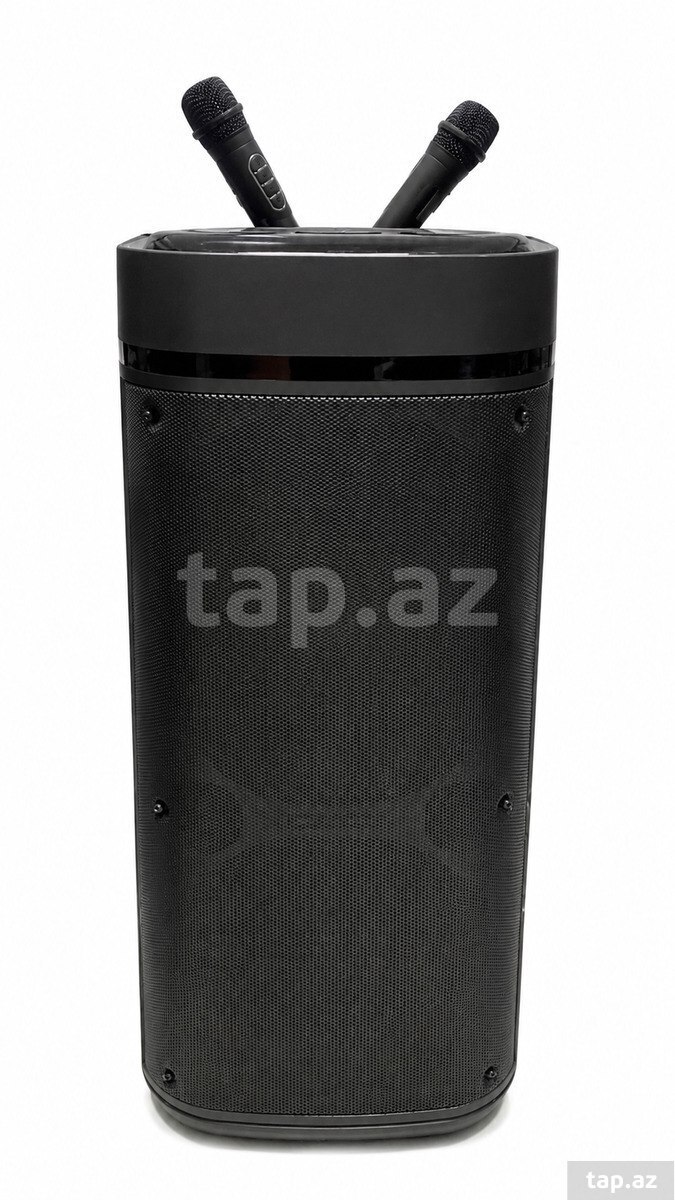 Bluetooth karaoke dinamik 2 mikrofonlu Smla ZQS12201 — 1