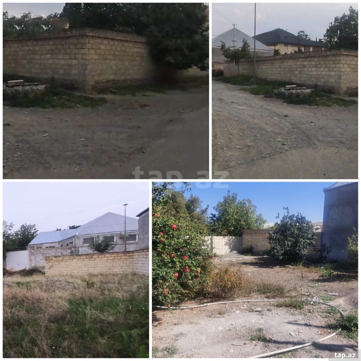 Torpaq satılır, Gəncə