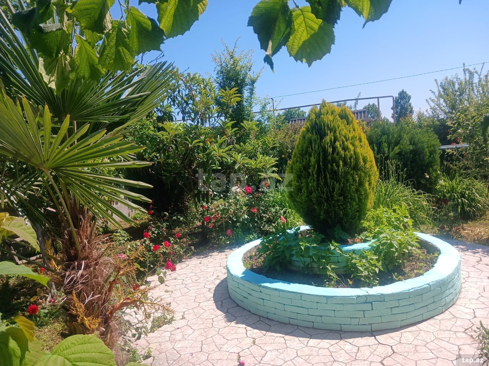 Həyət evi kirayə verilir, Nabran qəs. (9)