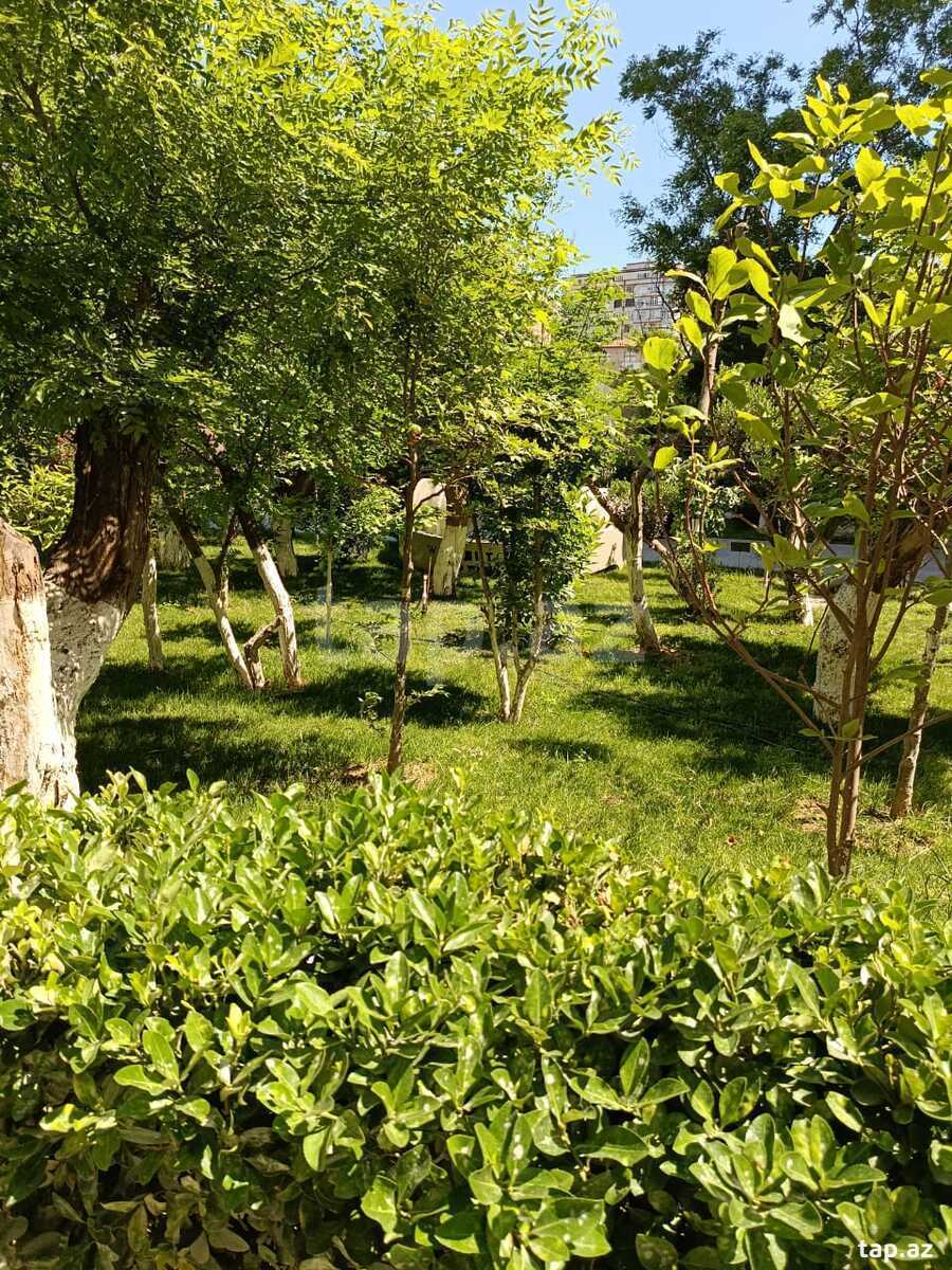 2-otaqlı yeni tikili kirayə verilir, Nərimanov m., 65 m² (18)