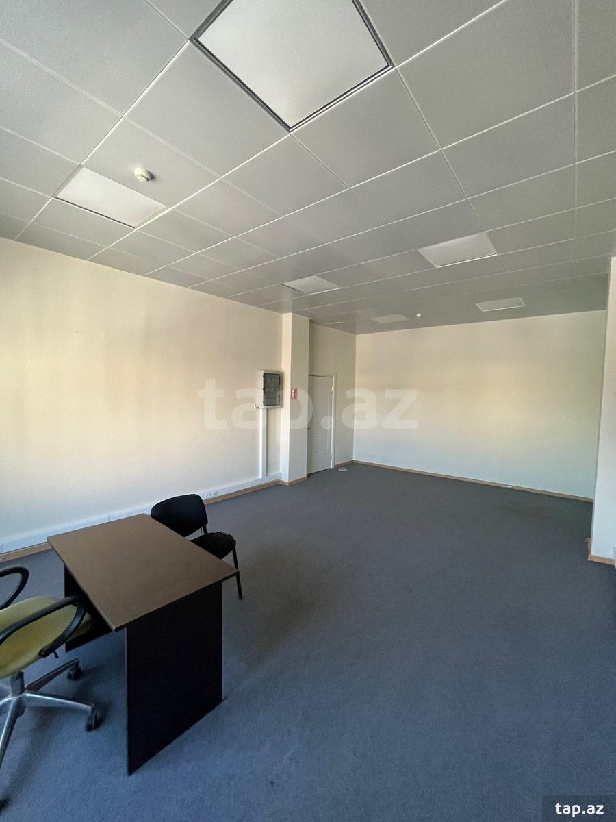 Ofis icarəyə verilir, Nadir Aliyev 26 (3)