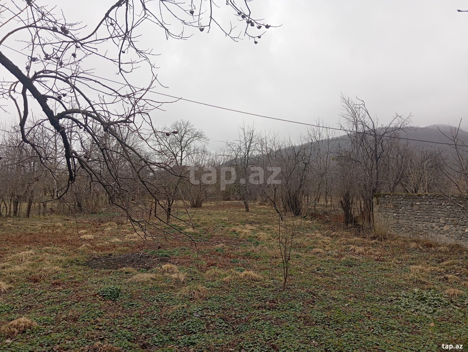 Bağ evi, 1-ci Nügədi kəndi (14)
