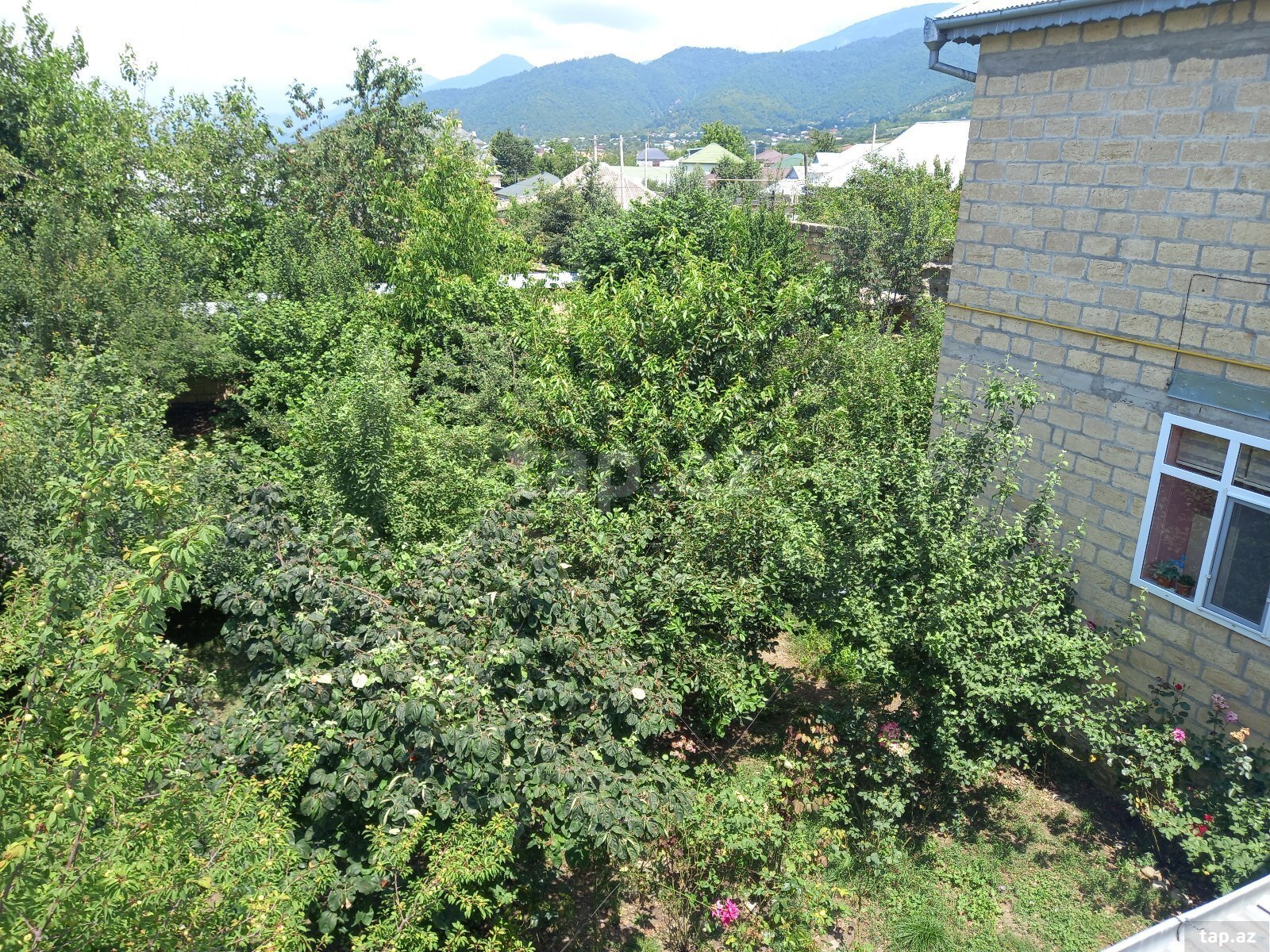 Həyət evi kirayə verilir, İsmayıllı r. (3)