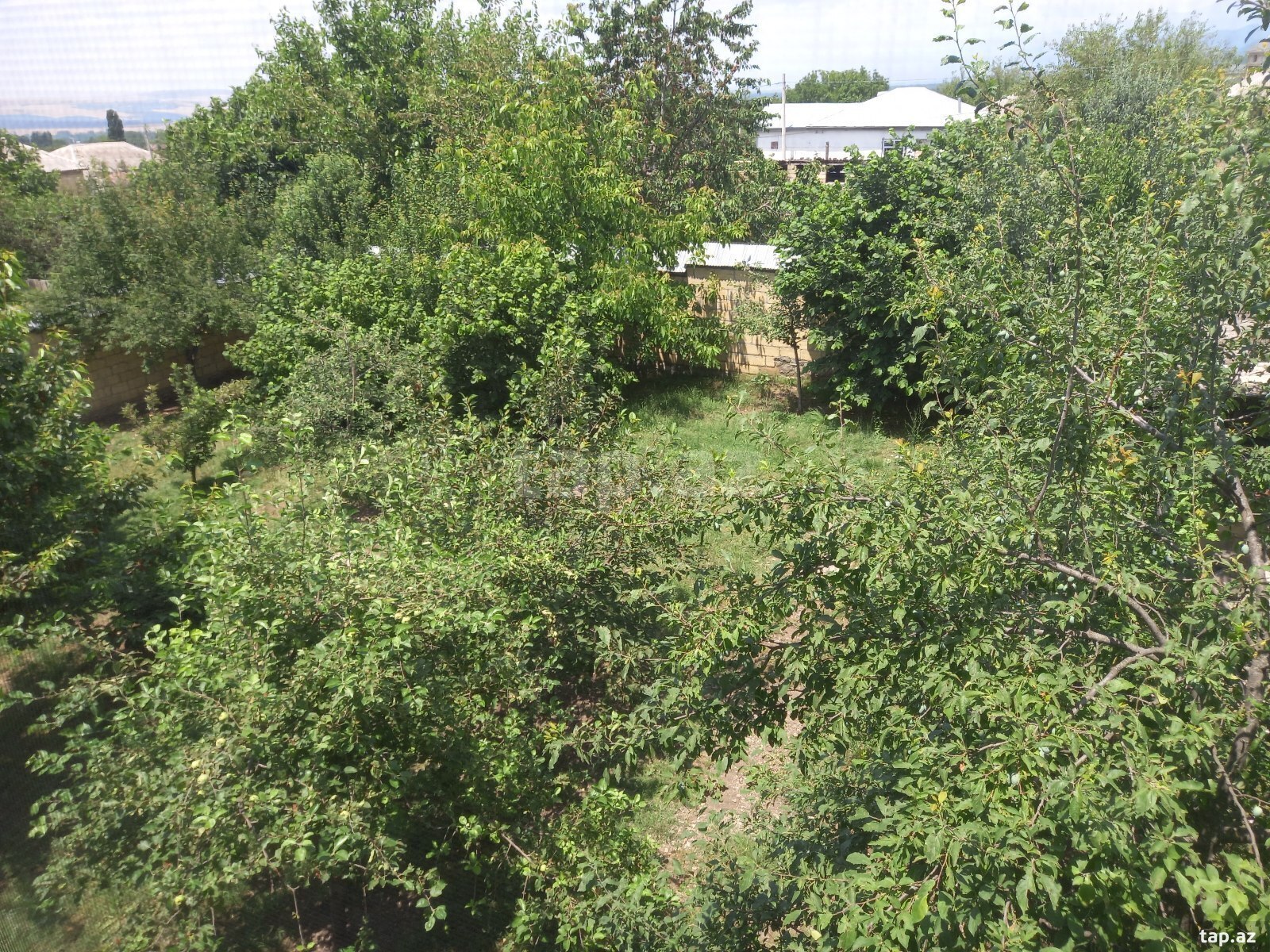 Həyət evi kirayə verilir, İsmayıllı r. (9)