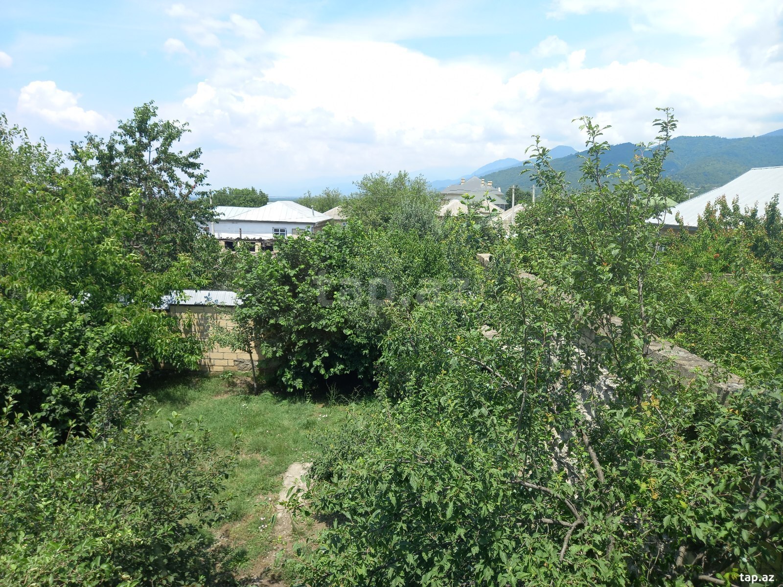 Həyət evi kirayə verilir, İsmayıllı r. (7)