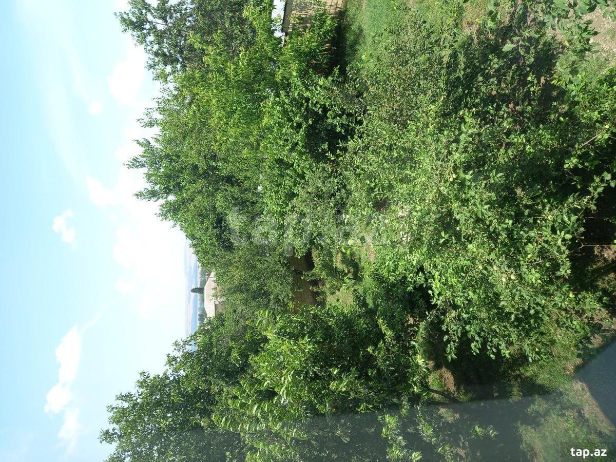 Həyət evi kirayə verilir, İsmayıllı r. (8)