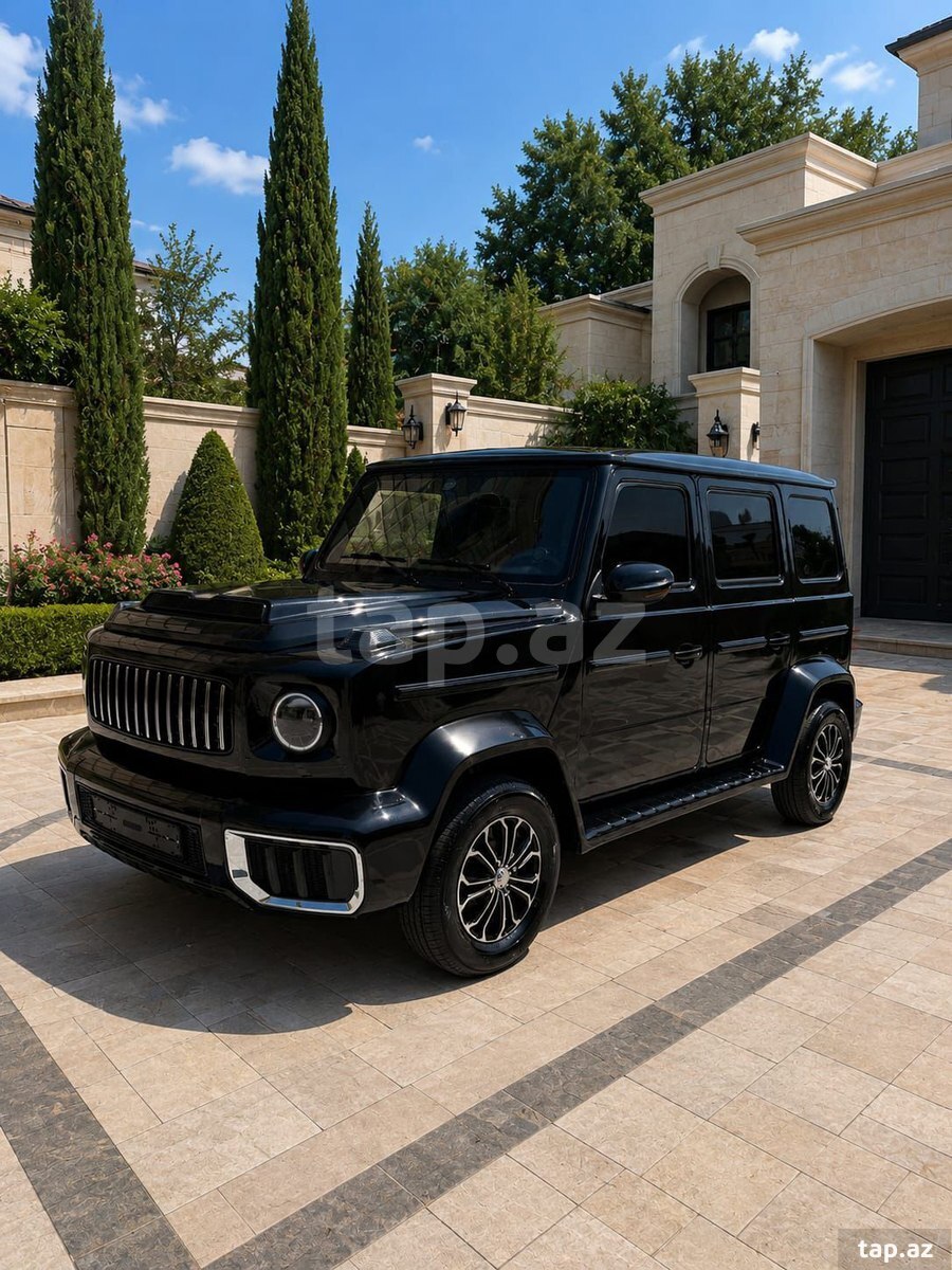 Qifeng K7 Golf car (3)