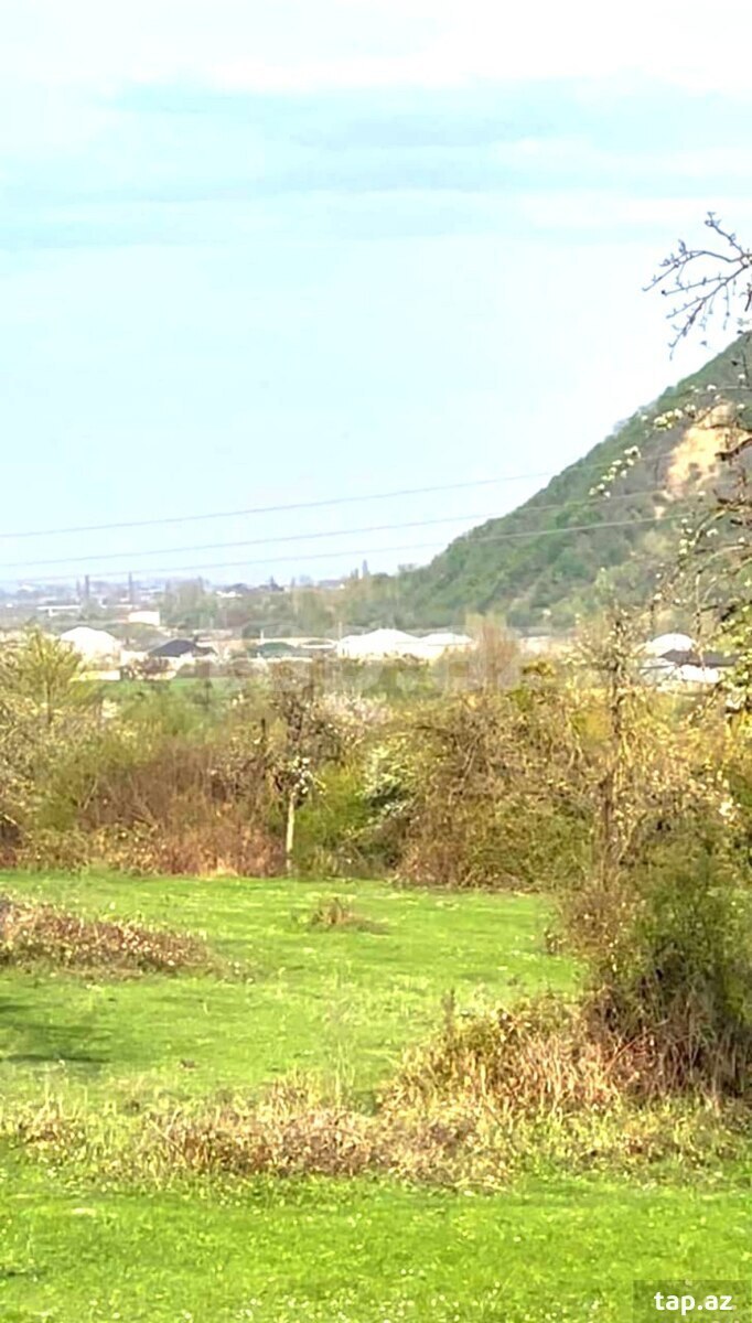 40 sot torpaq sahəsi, Quba r. (8)