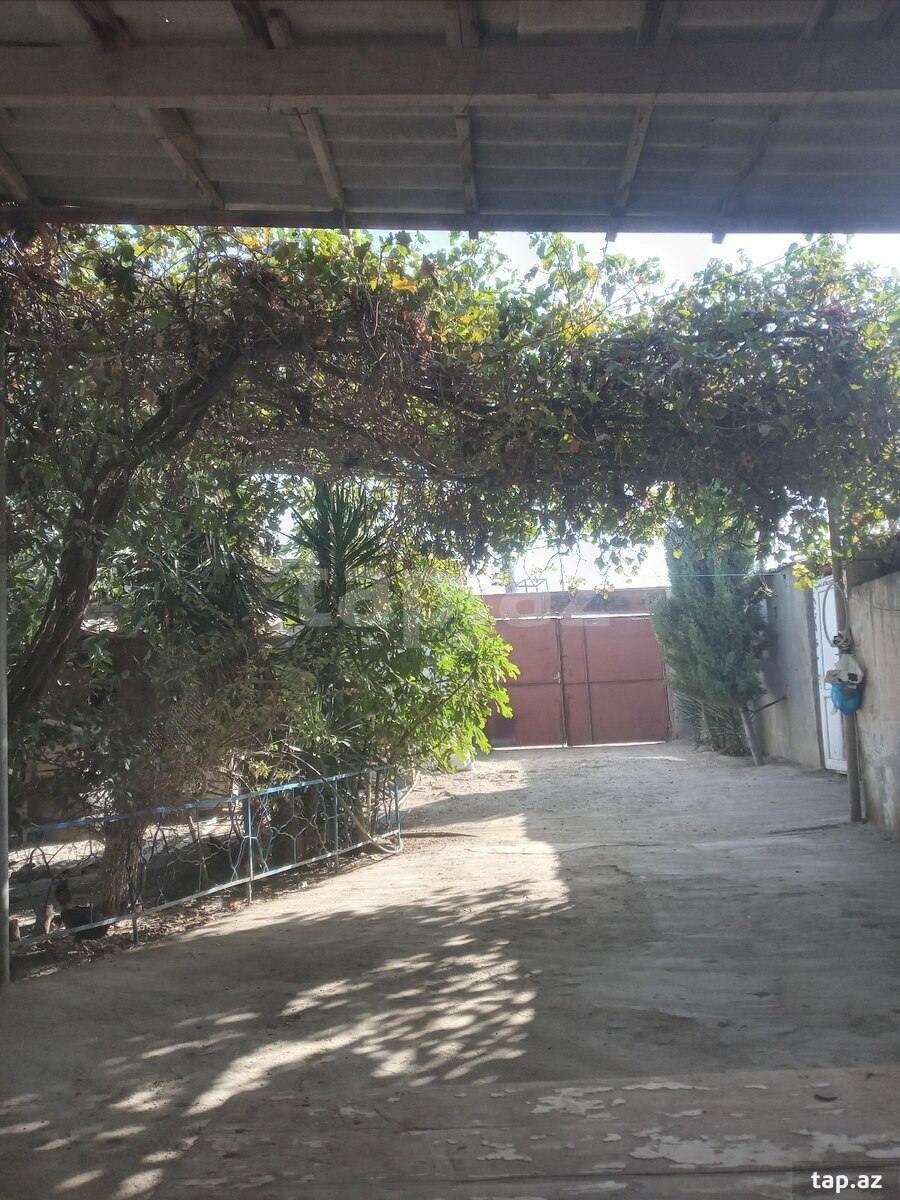 Həyət evi, Suraxanı r. (5)