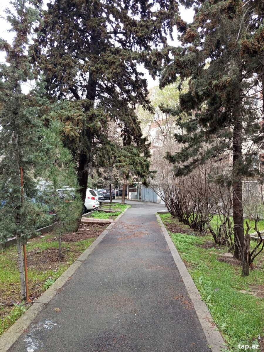 4-otaqlı mənzil, Hüseyn Seyidzadə küç., 120 m² (19)