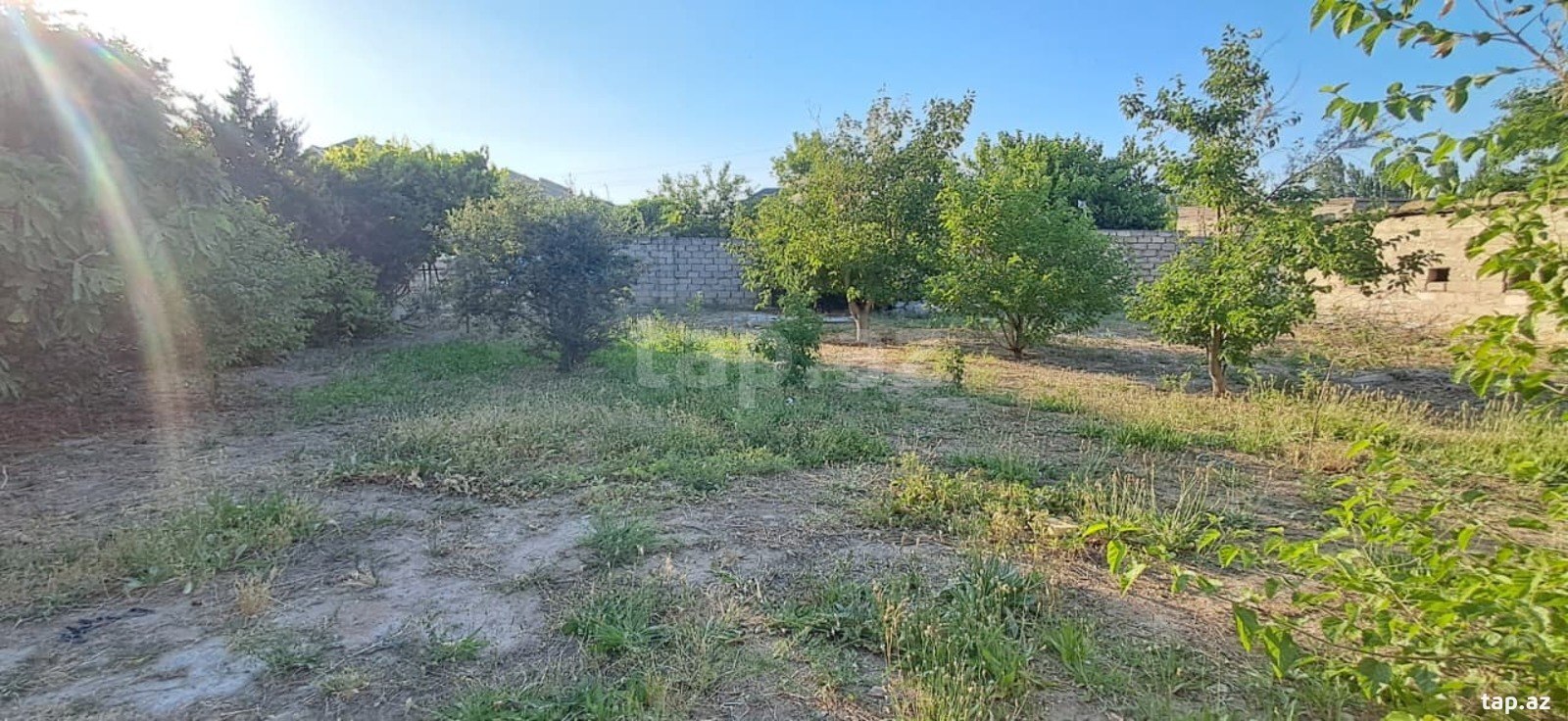 3 sot torpaq sahəsi, Buzovna qəs.