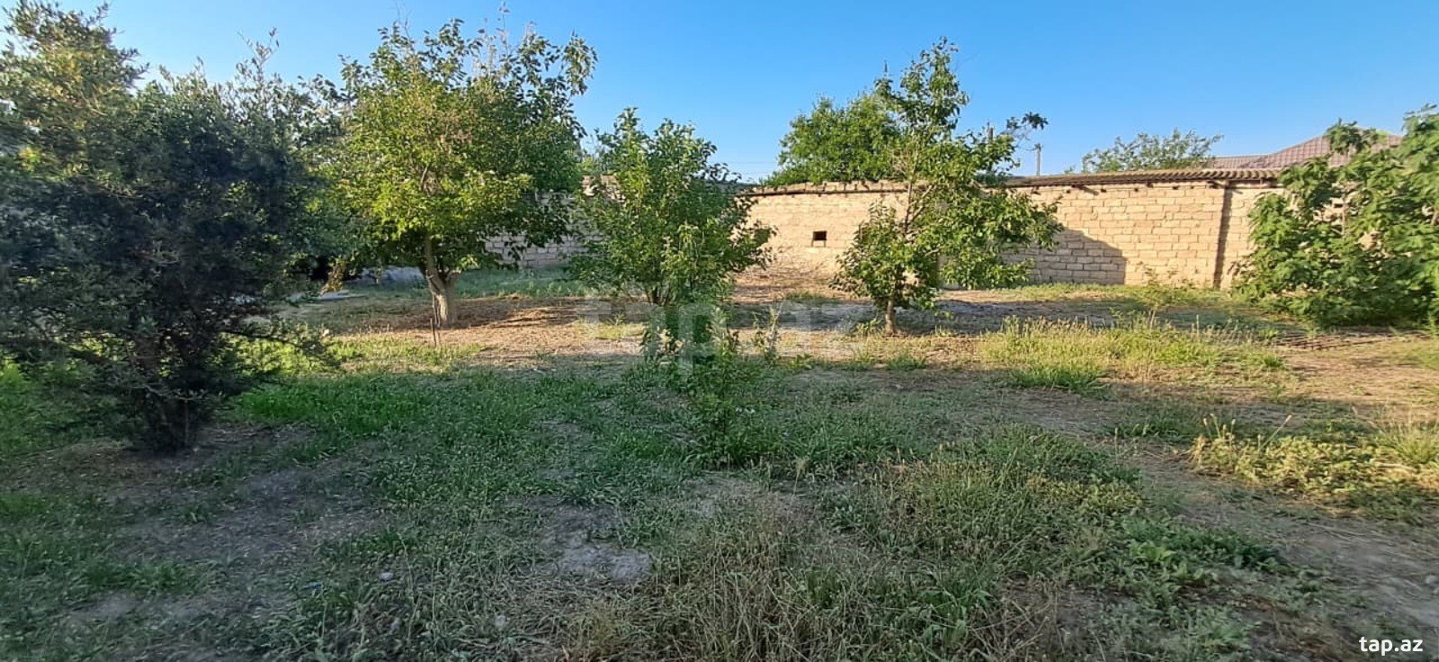 3 sot torpaq sahəsi, Buzovna qəs. (2)