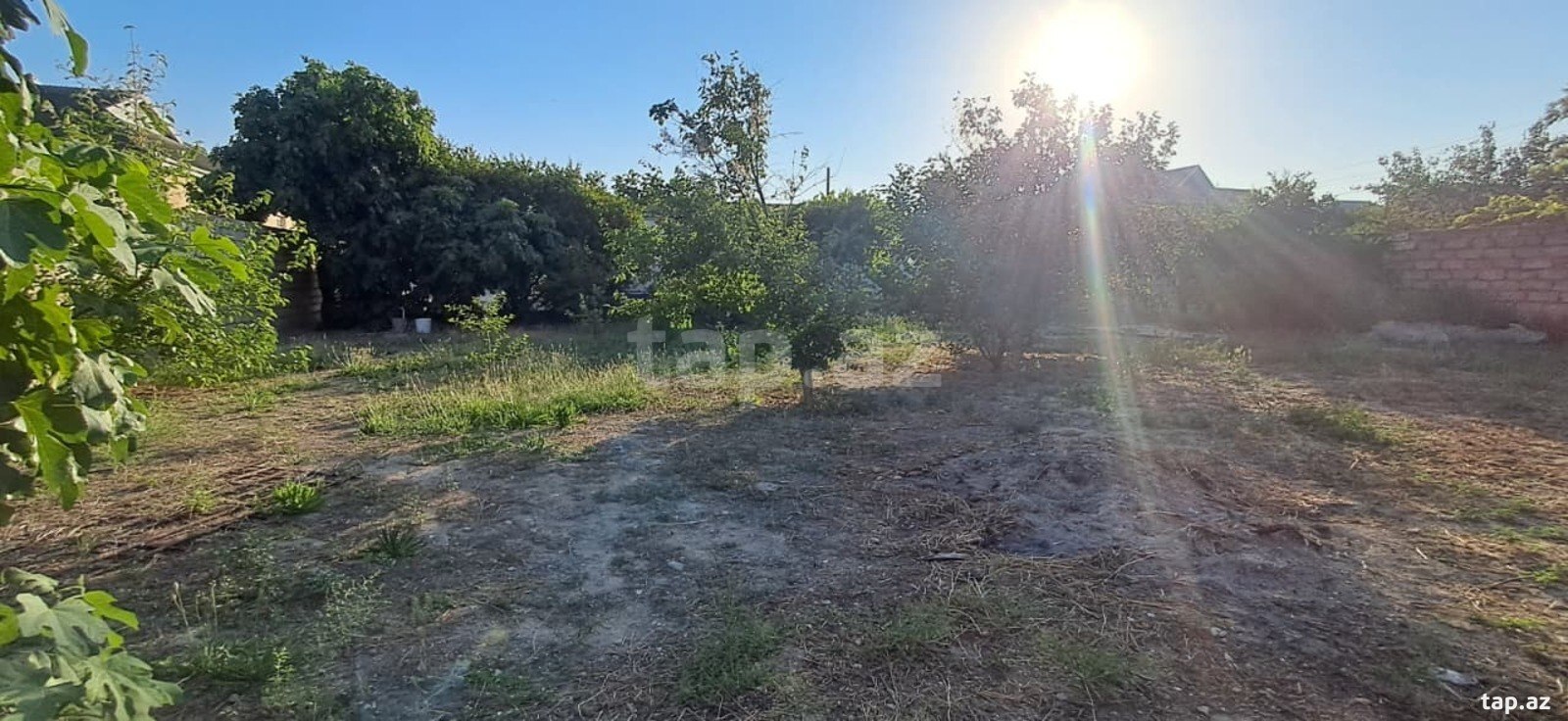 3 sot torpaq sahəsi, Buzovna qəs. (3)