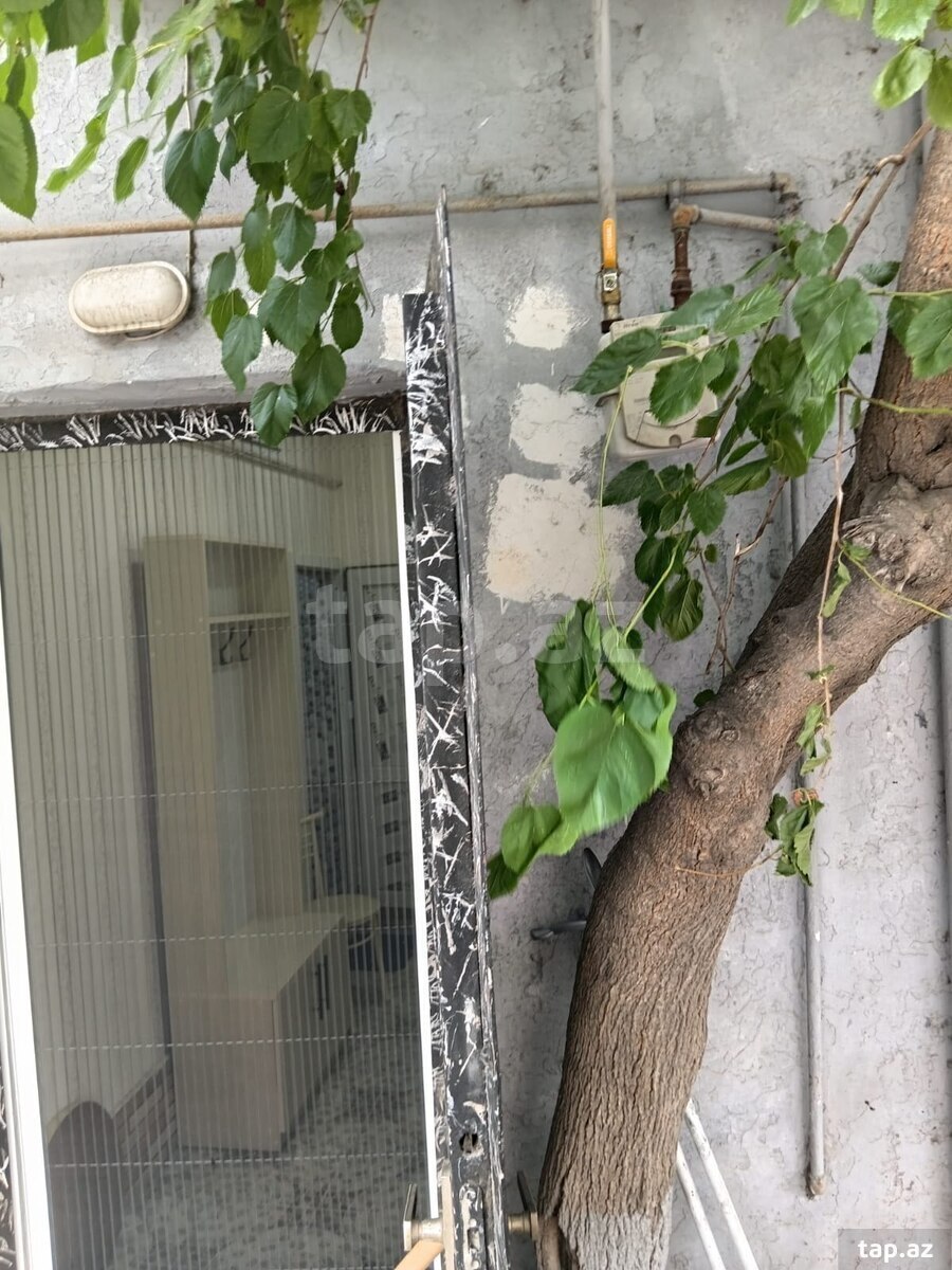Həyət evi, Binəqədi r. (2)