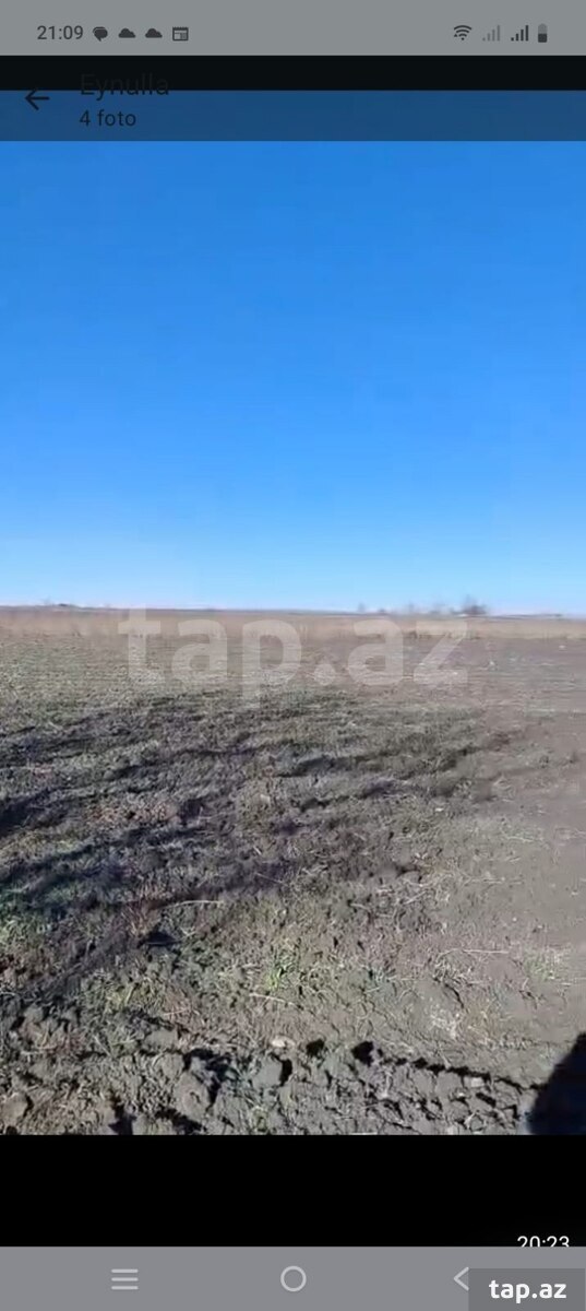 150 sot torpaq sahəsi, Quba r. (4)